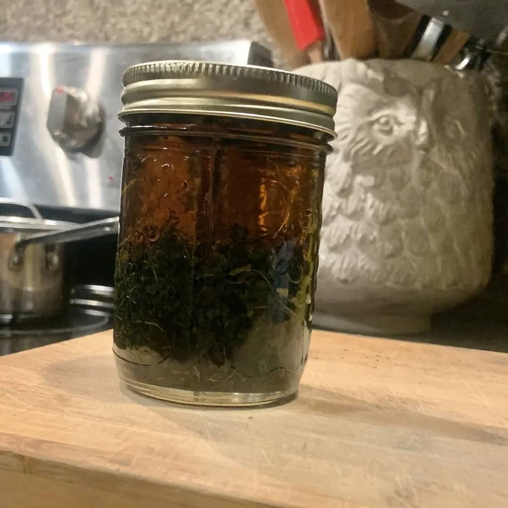 Simple nettle infusion