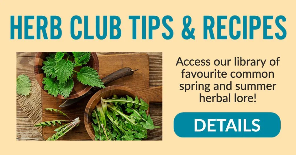 Herb Club TIps