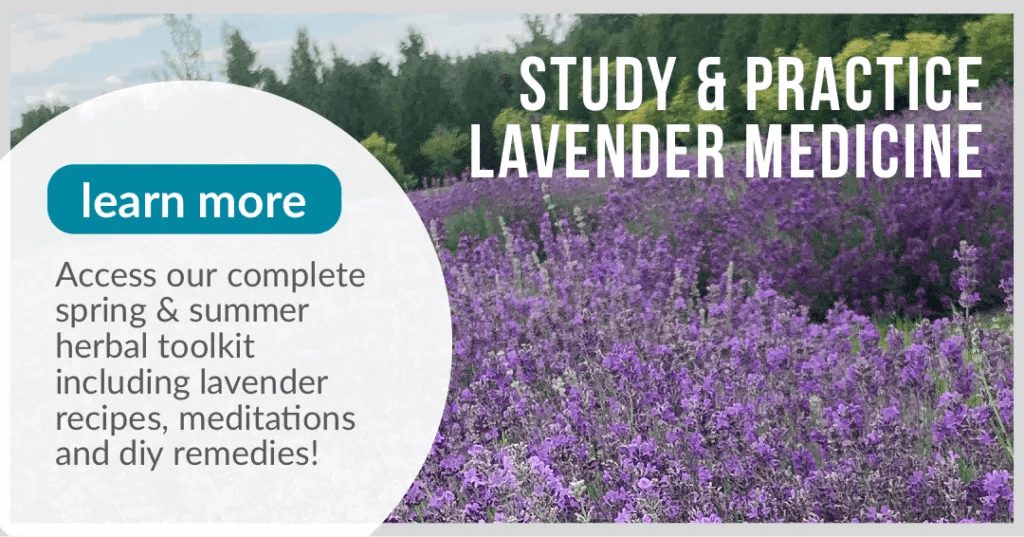 Lavender Medicine Practice