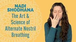 The Art of Nadi Shodhana