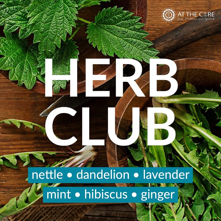 Ayurvedic Herb Course with Nettles and Dandelion